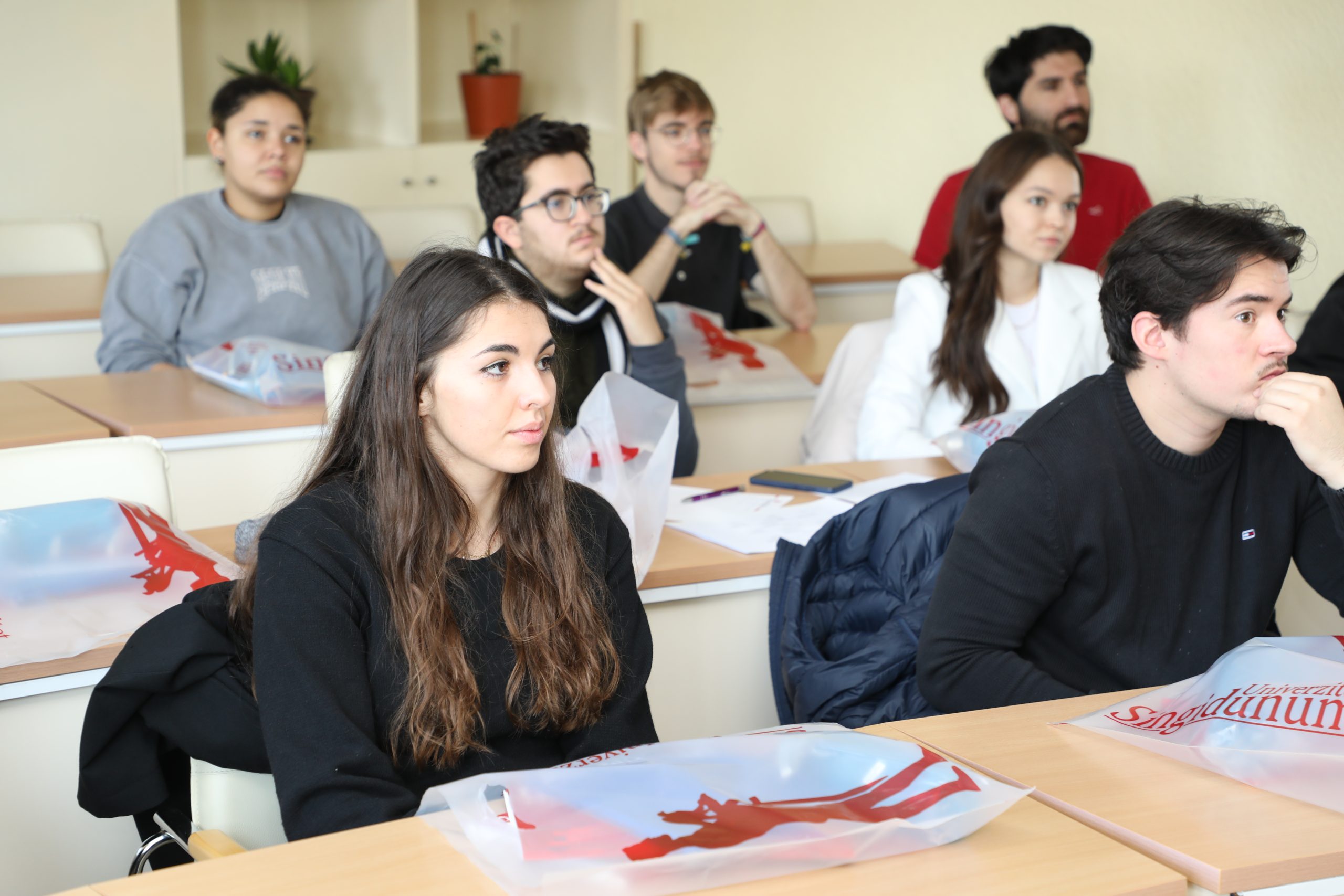 You are currently viewing Professional Internship